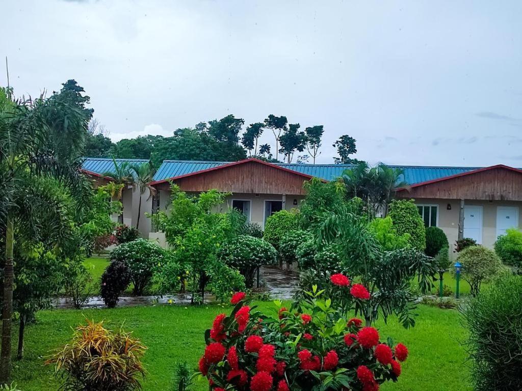Hotel Greenland Safari Sauraha Exterior foto